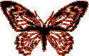  (125x79, 15Kb)