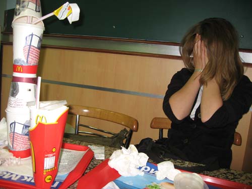  (500x375, 46Kb)
