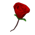  (120x120, 19Kb)