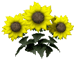  (110x87, 17Kb)