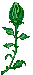  (33x75, 4Kb)