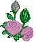  (53x62, 3Kb)