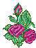  (53x71, 3Kb)