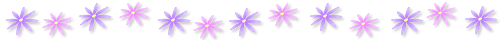  (500x40, 5Kb)