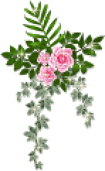  (148x242, 24Kb)