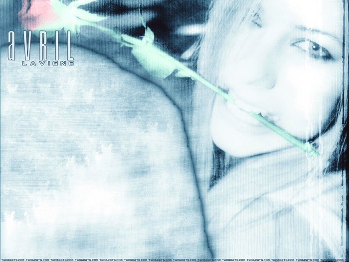  (700x525, 66Kb)