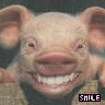  (96x96, 7Kb)