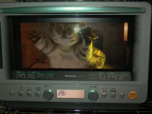  (500x375, 25Kb)