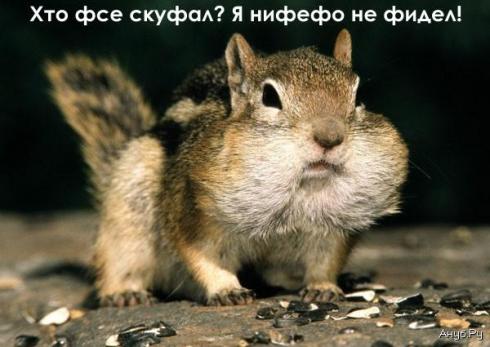  (490x347, 29Kb)