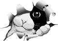  (118x84, 3Kb)