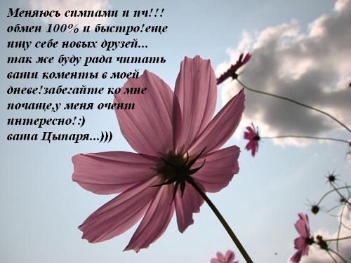  (500x375, 45Kb)