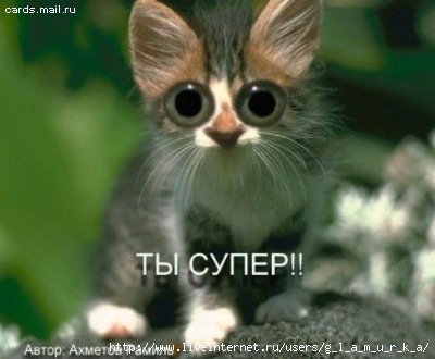  (400x330, 30Kb)