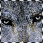  (150x150, 23Kb)