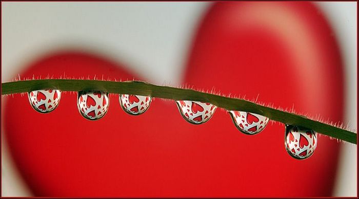  (700x389, 40Kb)