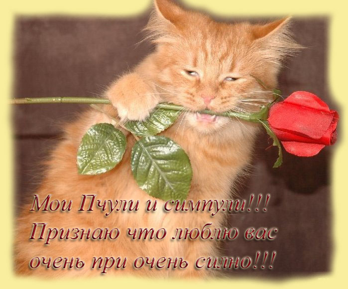  (699x580, 110Kb)
