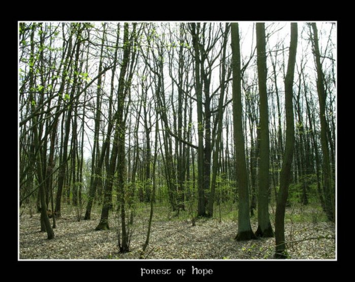  (699x556, 112Kb)