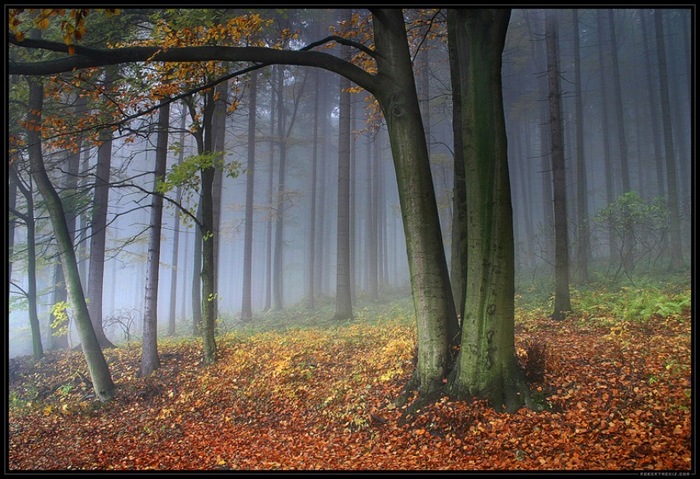  (700x479, 150Kb)