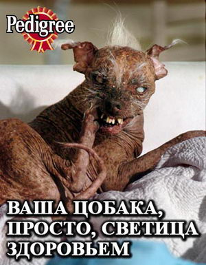  (300x385, 42Kb)