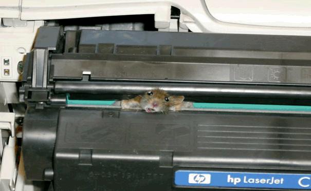  HP