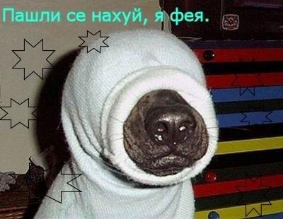  (400x310, 23Kb)