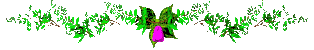  (314x50, 20Kb)