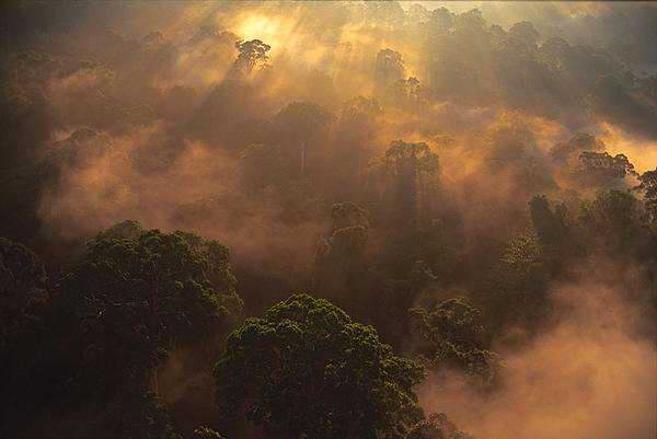  (600x401, 21Kb)