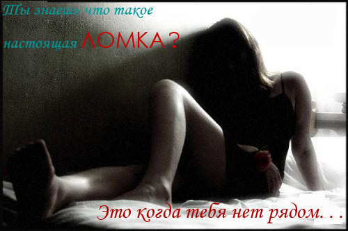  (500x333, 66Kb)