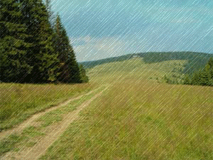  (300x225, 161Kb)