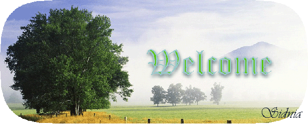 (600x242, 87Kb)