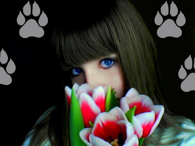  (640x480, 43Kb)