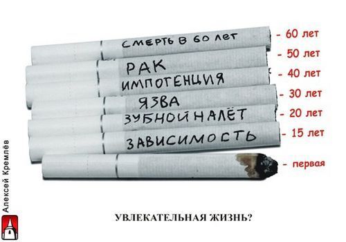  (500x350, 24Kb)