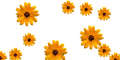  (120x60, 60Kb)