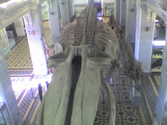  (640x480, 99Kb)