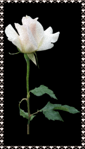  (168x294, 20Kb)