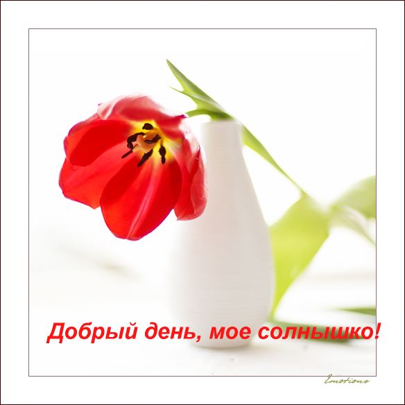  (584x584, 31Kb)