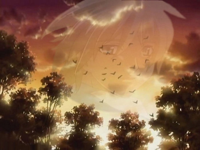  (700x525, 80Kb)