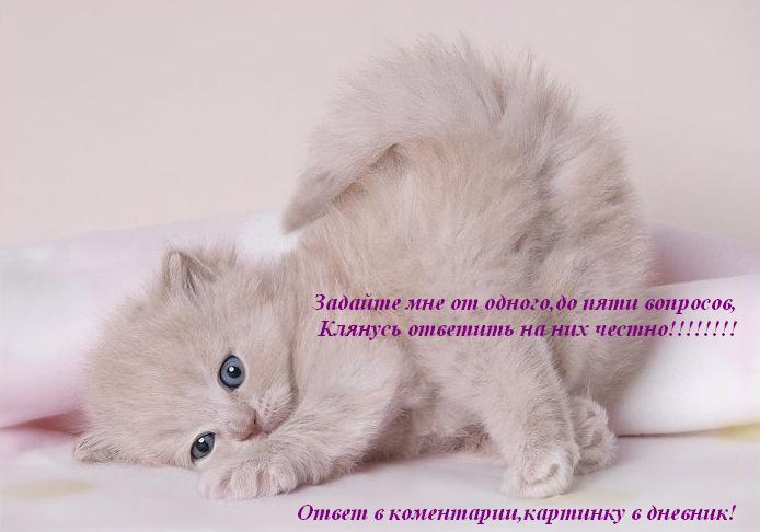  (694x486, 36Kb)