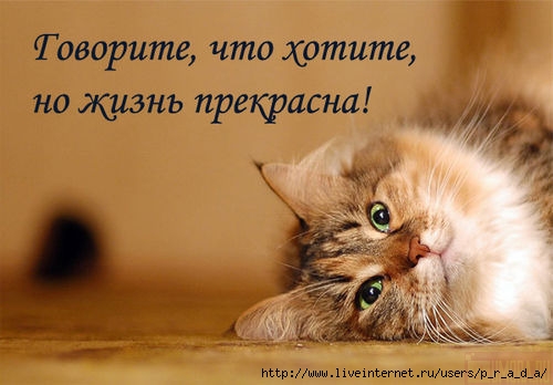  (500x348, 43Kb)