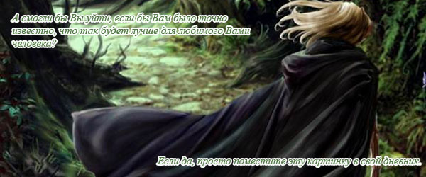  (600x250, 64Kb)