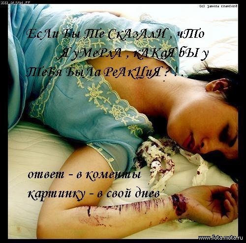  (500x495, 66Kb)