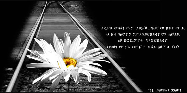  (600x300, 41Kb)