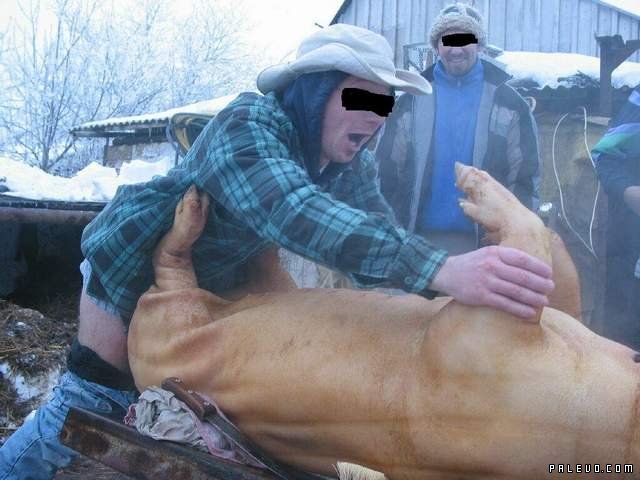  (640x480, 58Kb)