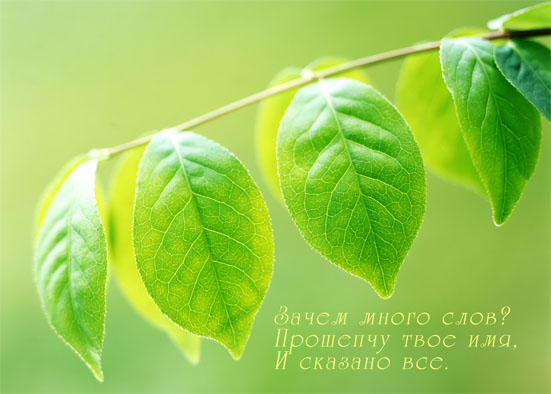 http://img0.liveinternet.ru/images/attach/b/1/13246/13246593_listiki.jpg