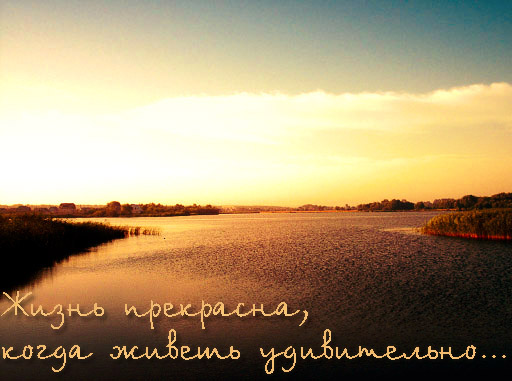  (512x381, 83Kb)