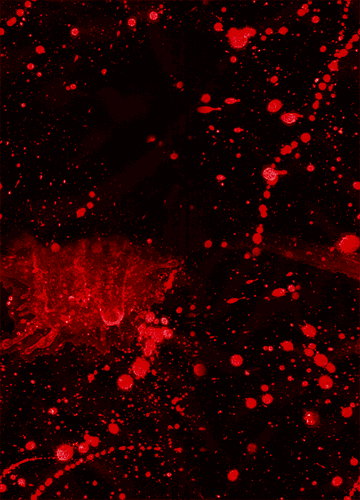 12632360_11386180_10400257__krov0 (360x500, 38Kb)