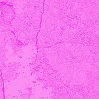  (200x200, 11Kb)