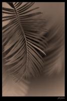  (133x200, 5Kb)