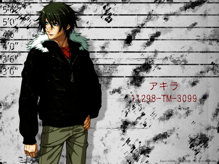 game_togainu_no_chi_49-b (700x525, 149Kb)