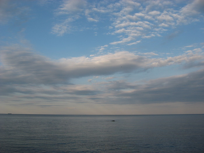  (700x525, 65Kb)