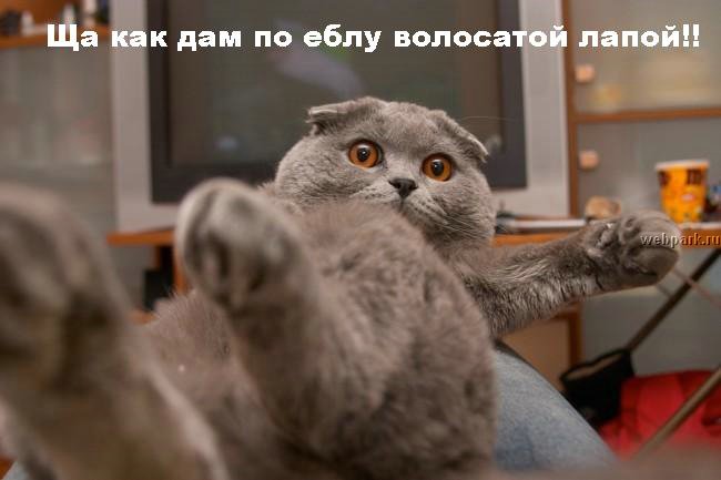 (650x433, 37Kb)